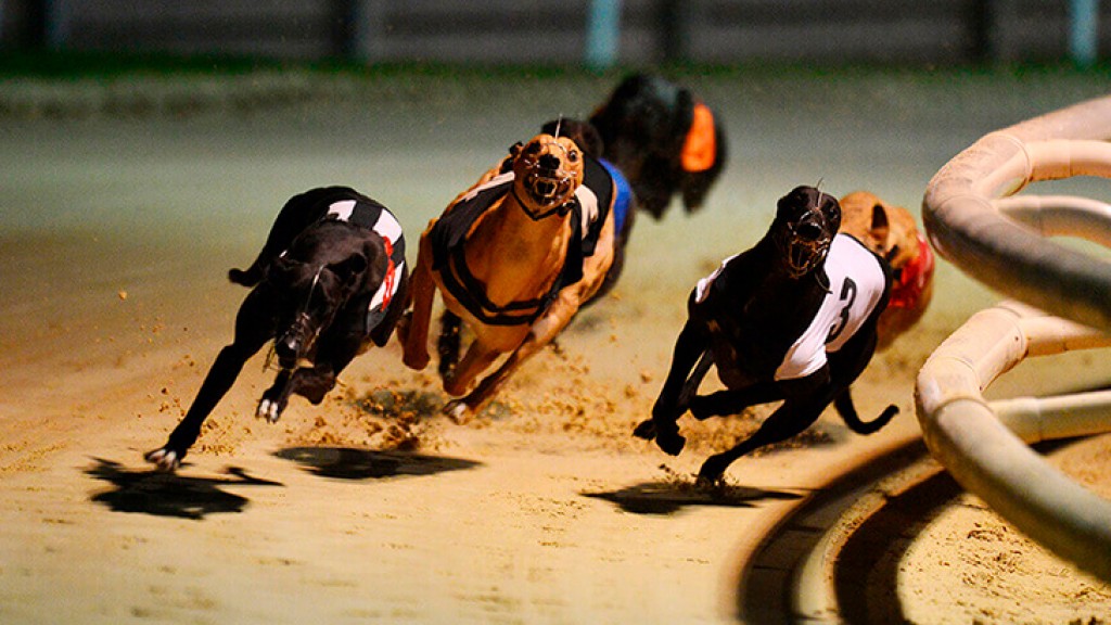 Codere launches new 24/7 Live Horse Racing and Greyhound Channel with SIS