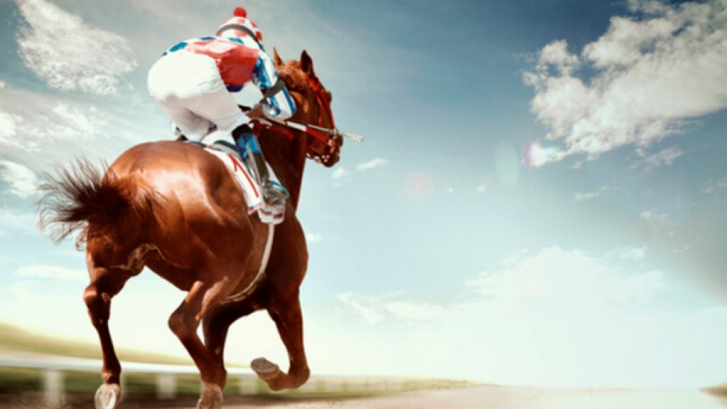 Future of fixed odds on horse race betting in Jersey becomes murky