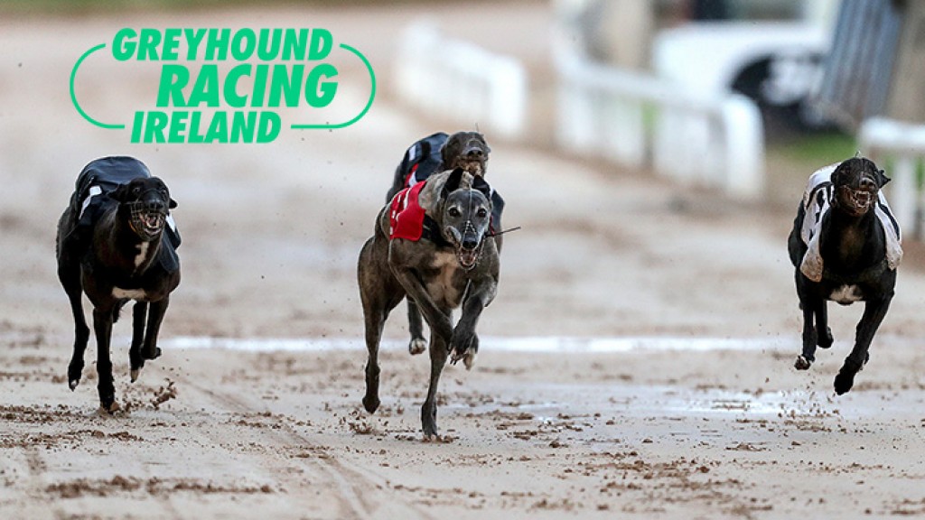 SIS and Greyhound Racing Ireland extend existing agreement