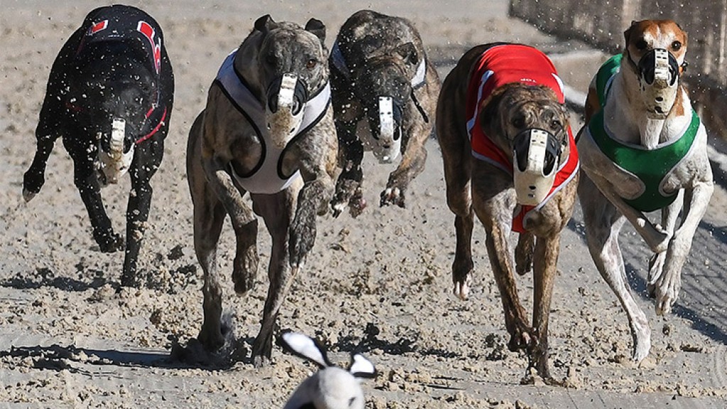 Entain and Arena Racing Sign Media Rights and Distribution Deal for Horse and Greyhound Racing