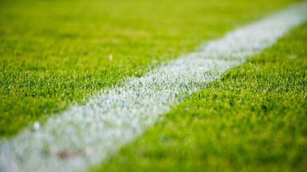 20.5 Million Americans to Wager $1.8B on 2022 FIFA World Cup™