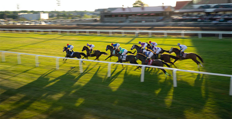 Minn. Senate committee endorses legalized sports gambling, including money for horse tracks