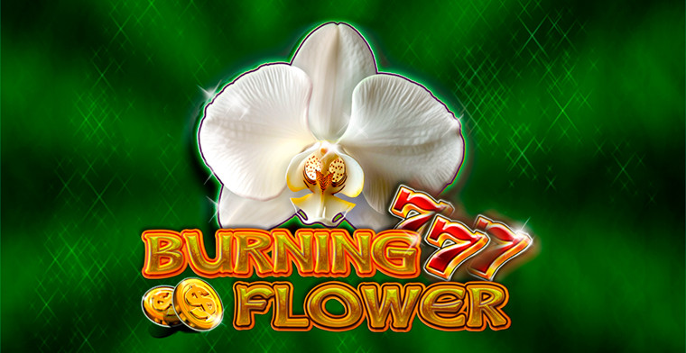 CT Interactive Ignites the game With Burning Flower: A Vibrant Slot Blooming With Energy and Big Wins